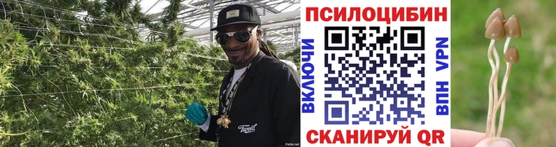 Галлюциногенные грибы мухоморы Белорецк
